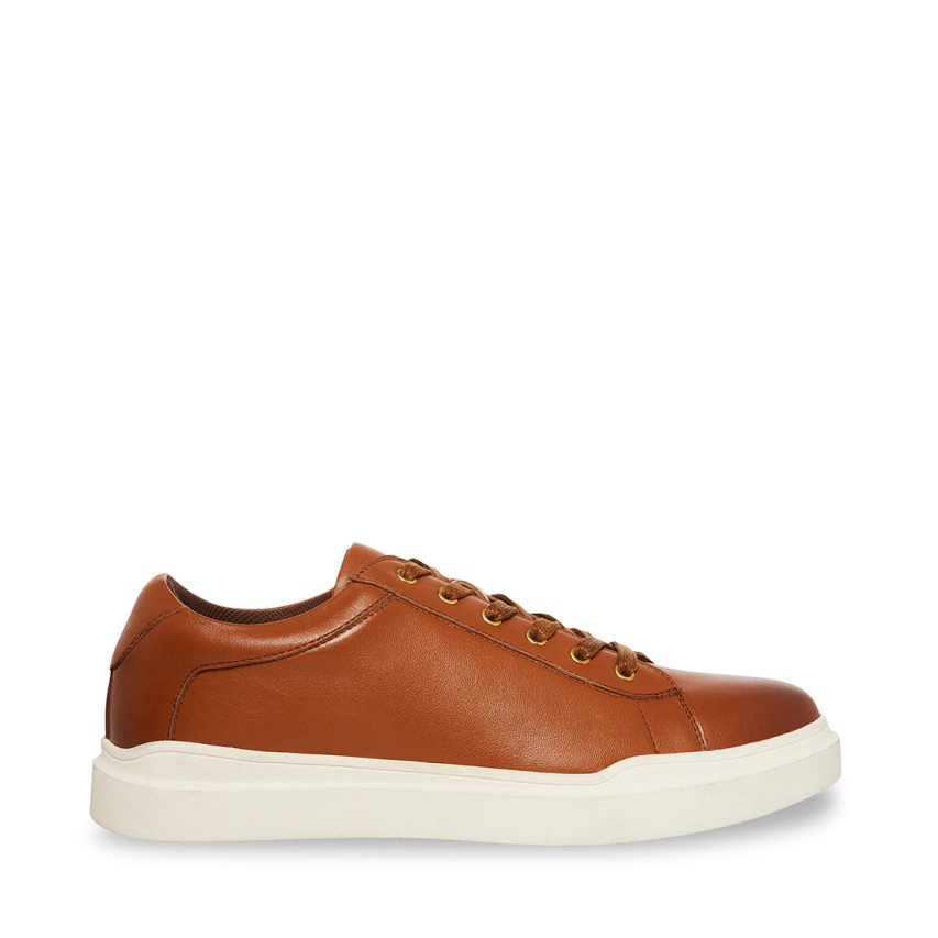 Zapatillas Steve Madden Tilton Cuero Hombre Marrones | ES NA43ES